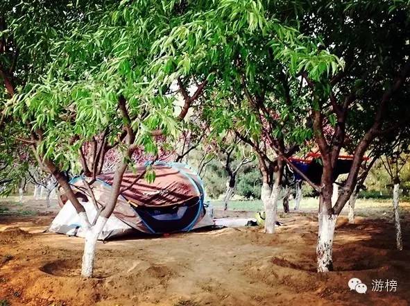 五一劳动节探险王国,五一假期丛林探险