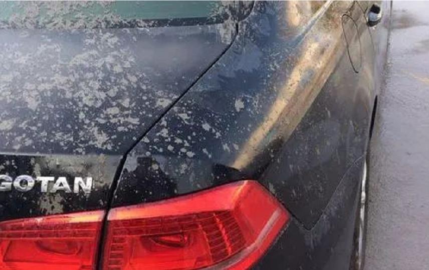 如何处理车漆表面已凝固的水泥，不能错过的小妙招