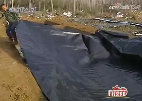 黄鳝养殖泥土下面铺薄膜有用吗,黄鳝无土静水薄膜池养殖多少钱