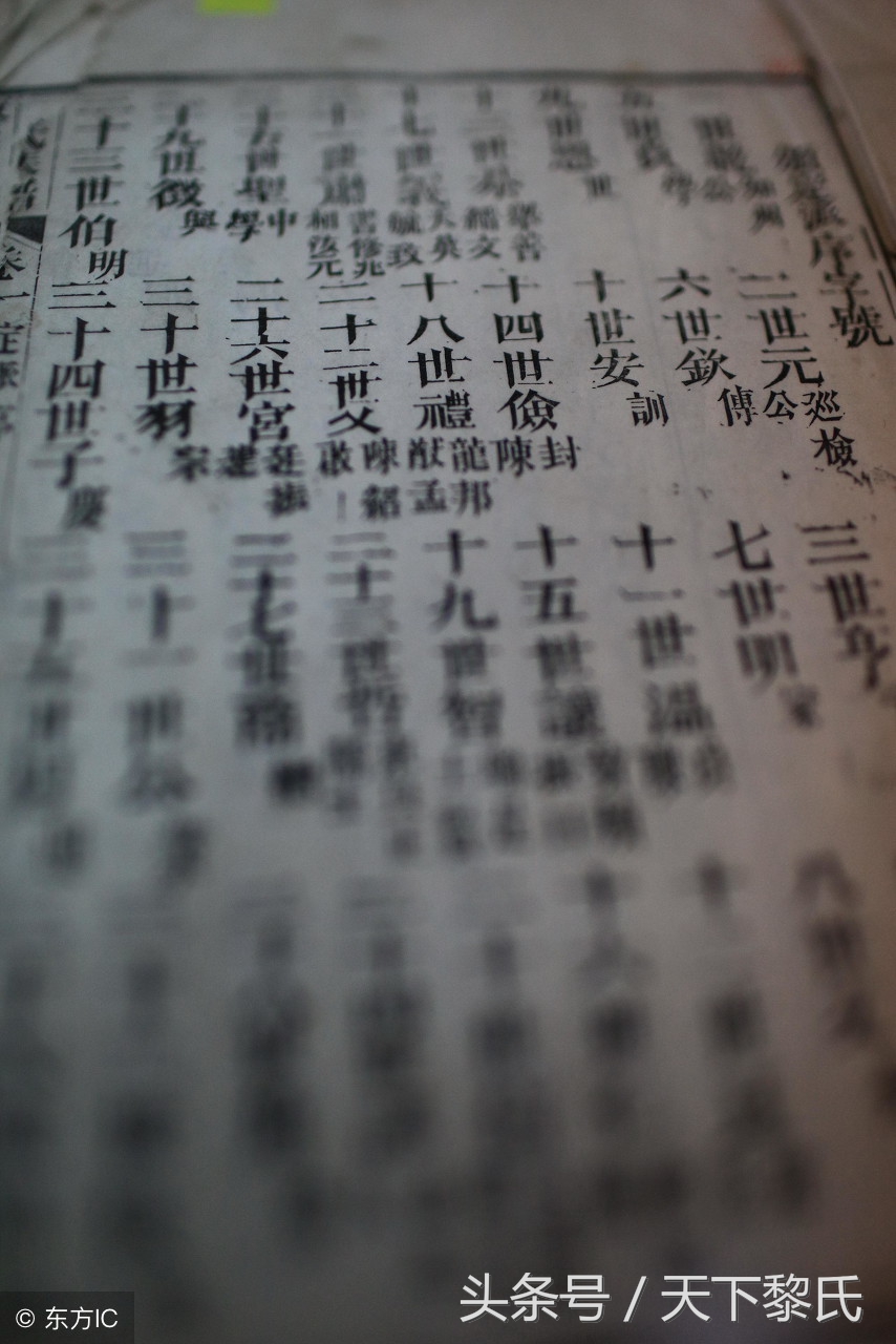 家谱标准格式,家谱标准格式图片大全