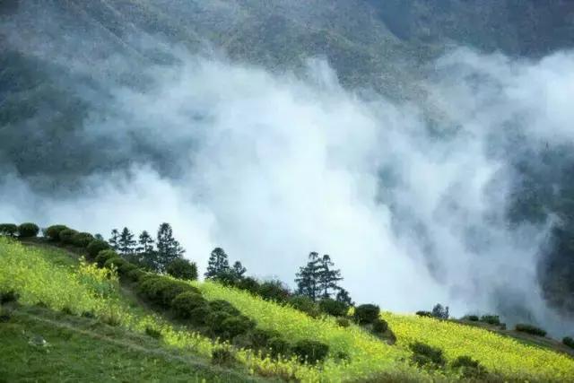 国内2月最美旅行地大推荐,风景线一路美到底(内附游玩线路)!