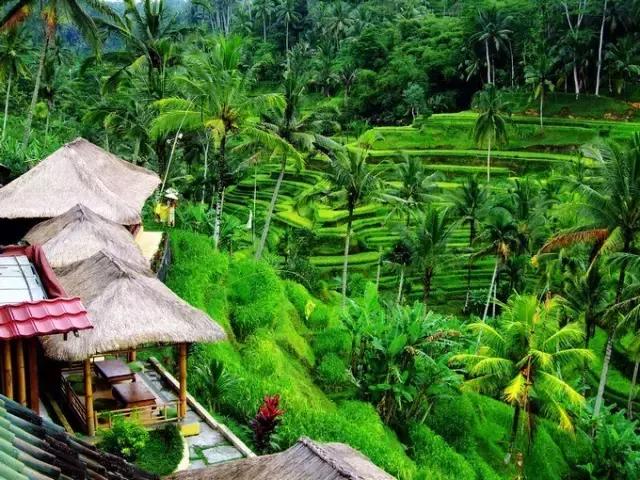 2019年巴厘岛之行,最近巴厘岛旅游价格