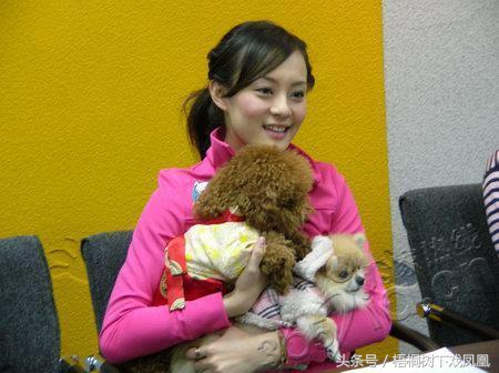 属狗的人为啥到狗年就不过狗年呢,属狗的哪年是属于土狗