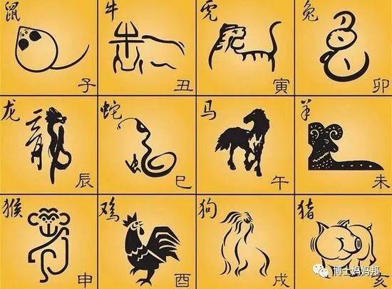 十二属相苦尽甘来,12属相哪个属相最傻