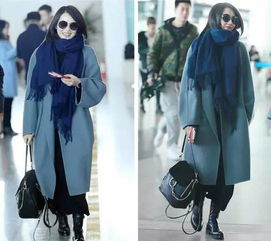 雾霾冷棕色和雾霾蓝,雾感雾霾蓝