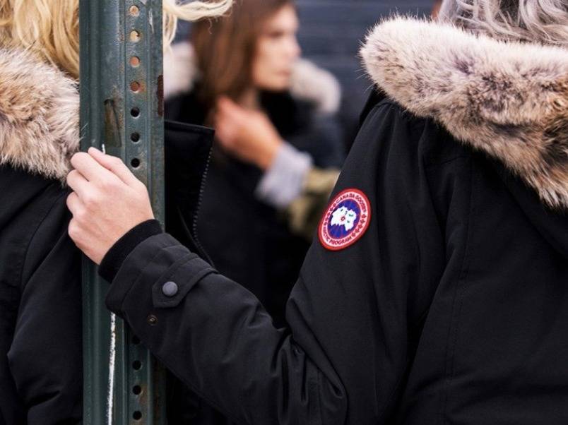 加拿大鹅在中国的现状,加拿大鹅为什么那么好吃