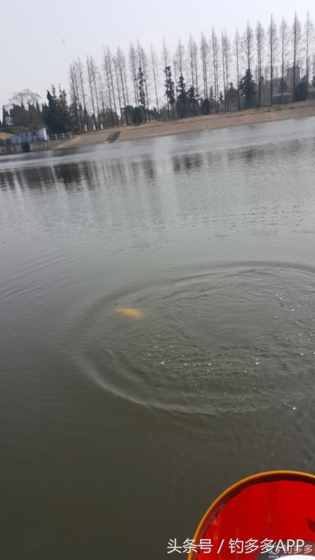 台钓竿双钩,台钓双钩沉底