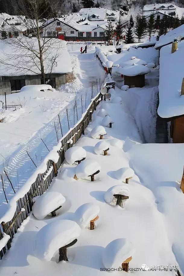 雪乡农家院,雪乡阁楼民宿