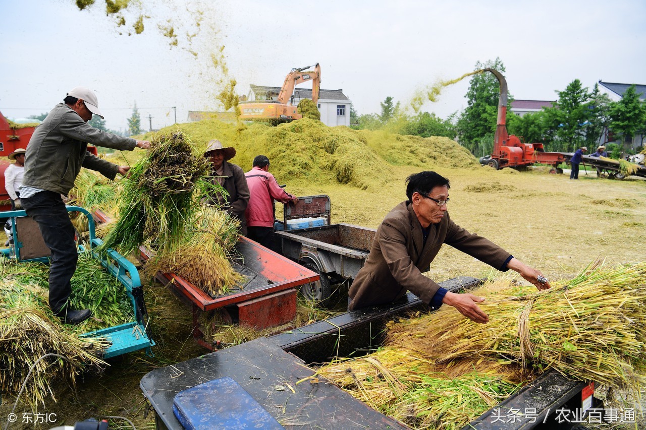 23年养殖业为什么亏本,农村养殖业什么最赚钱又不愁销路
