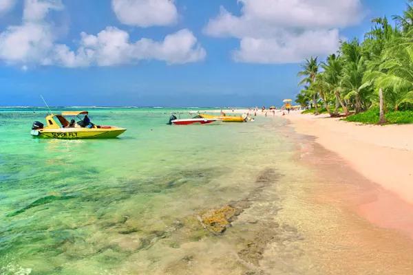 温馨提示一年一度的情人节到了,情人节重要提示