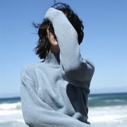 雾霾冷棕色和雾霾蓝,雾感雾霾蓝