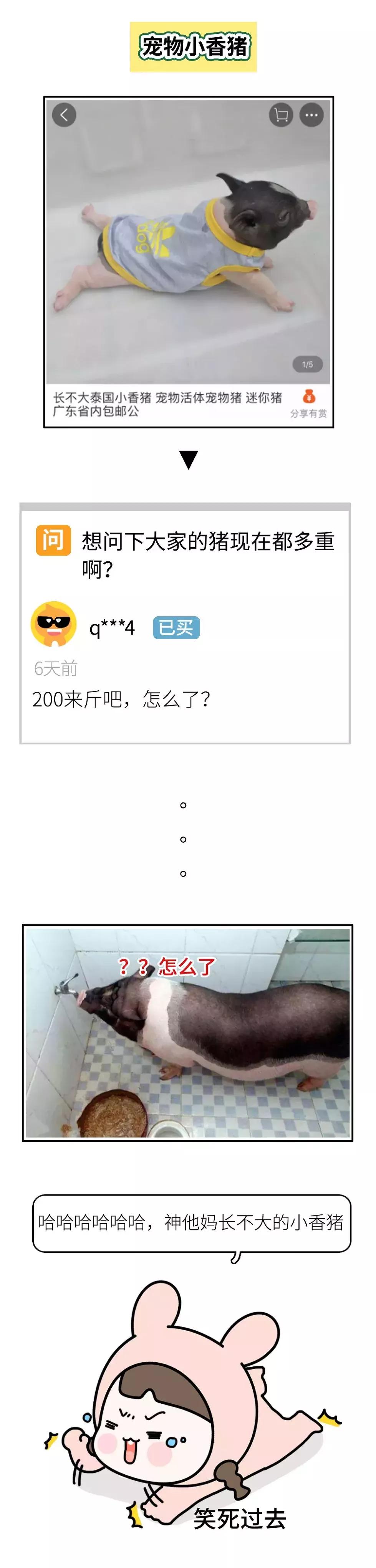 淘宝评论区搞笑聊天,淘宝评论爆笑聊天记录