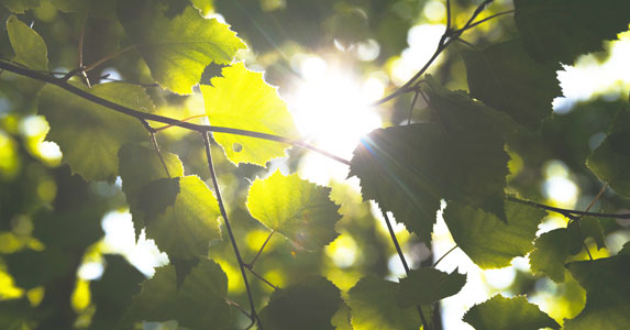 怕被家人逼婚我隐瞒和男友交往,次*他日**带家人来我家:这是我媳妇