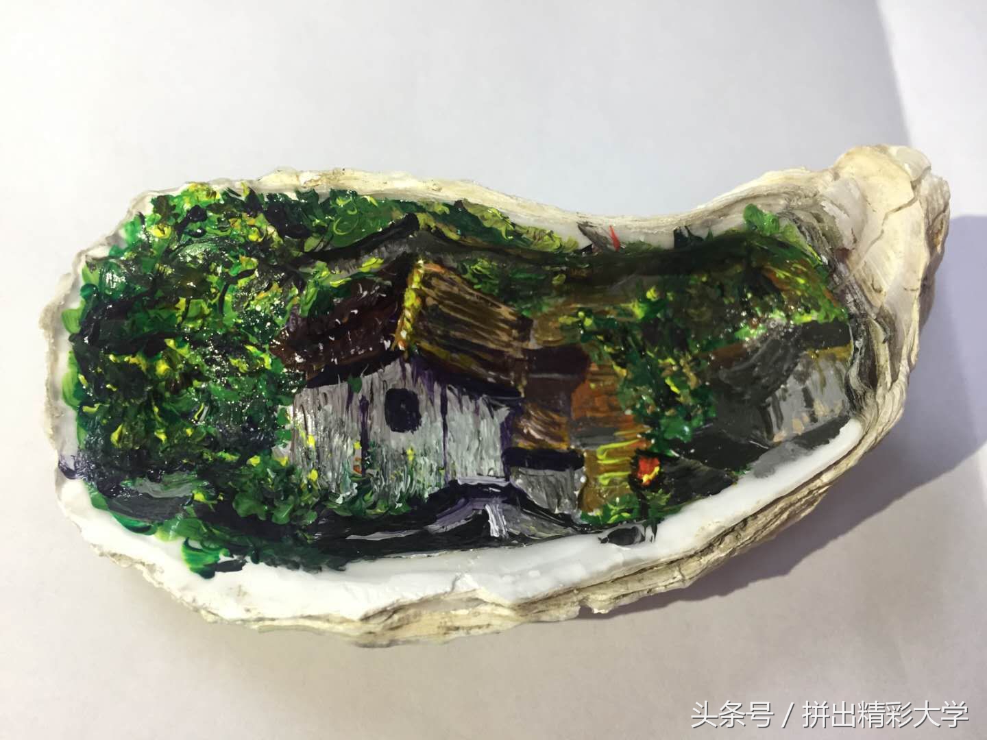 漂亮的贝壳的饰品,贝壳美丽饰品