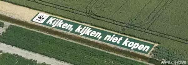 荷兰人有多爱钱,荷兰人为什么那么节俭