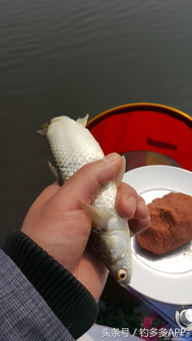 台钓竿双钩,台钓双钩沉底