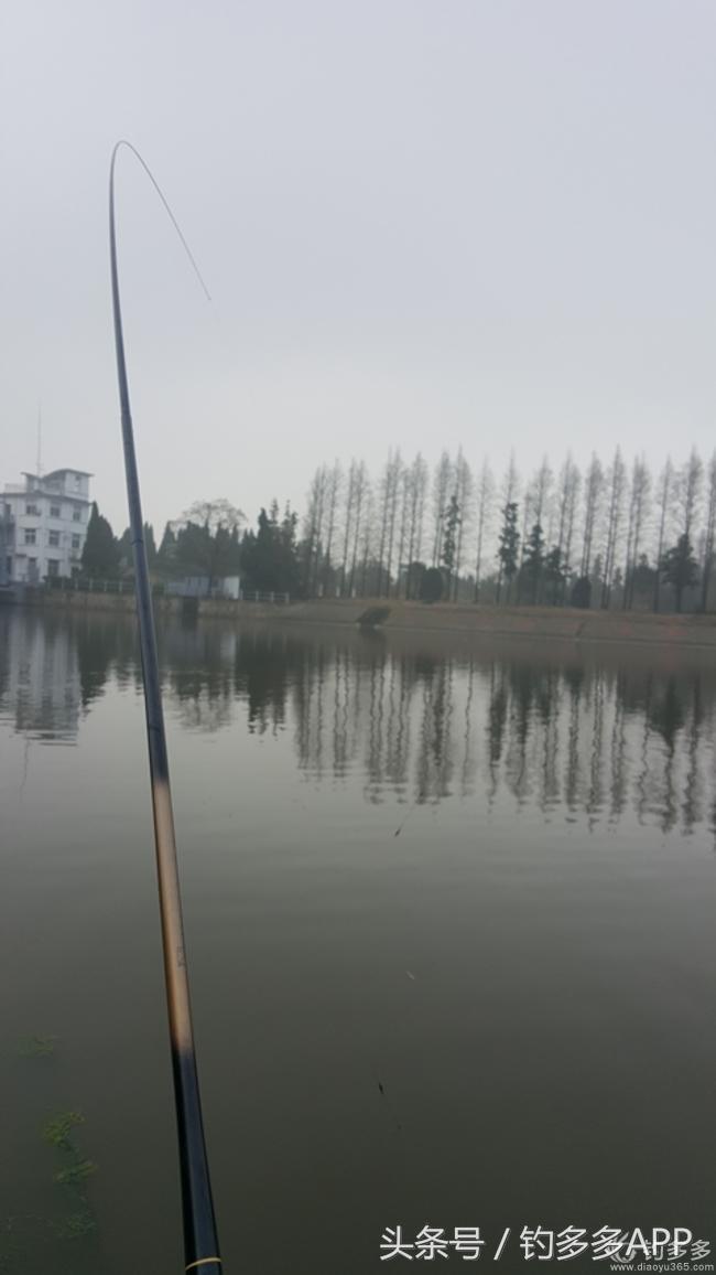 台钓竿双钩,台钓双钩沉底