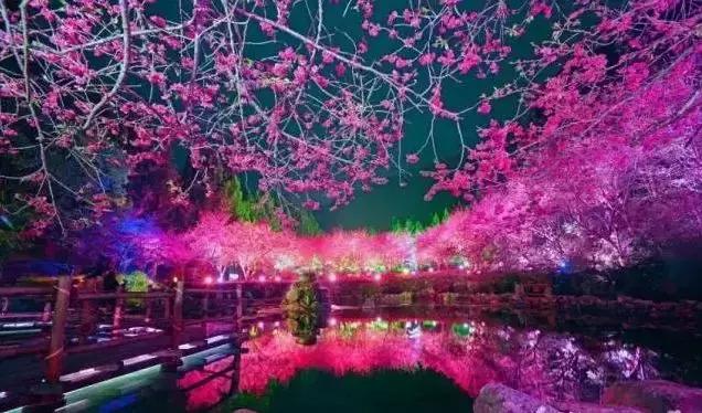 国内2月最美旅行地大推荐,风景线一路美到底(内附游玩线路)!