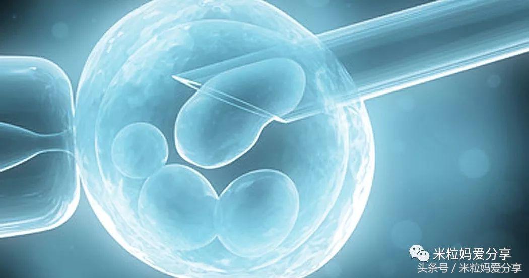 谢娜生双胞胎｜一次生俩的幸运，是天生的还是人工的？