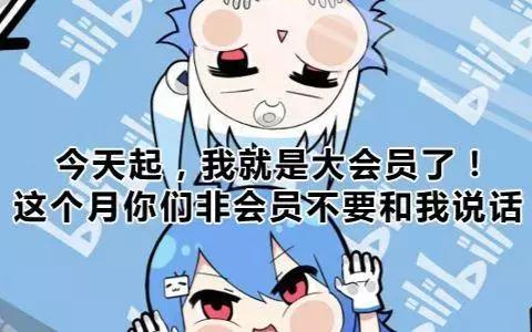 a站没落背后的秘密,a站为什么沦落得完败b站