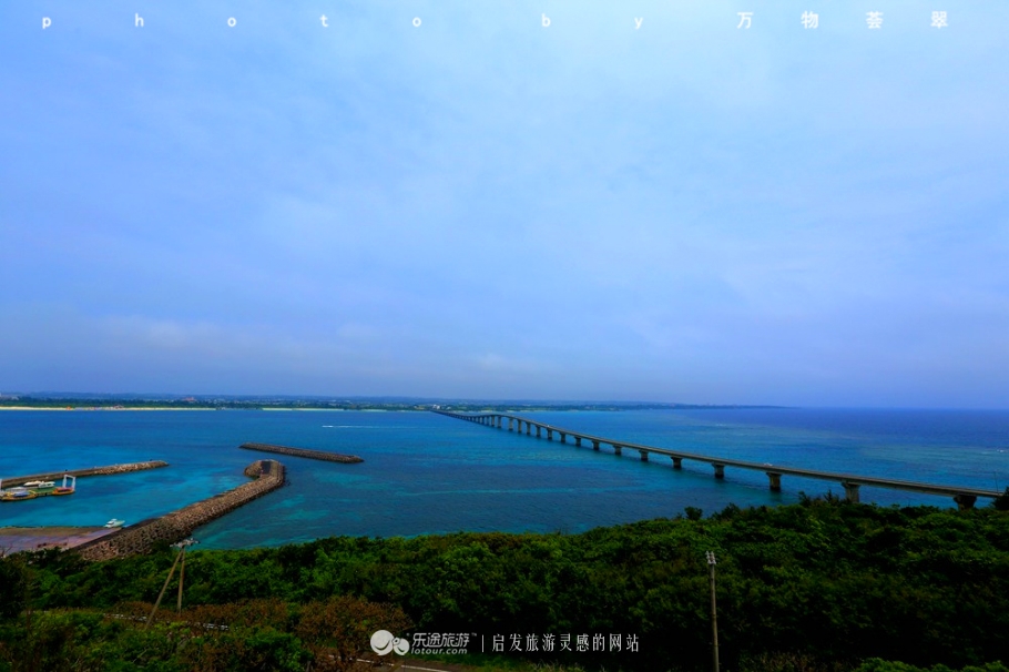 感动cry我们都欠妈妈一个天轮之乐