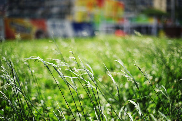 尼康d90加永诺50mmf1.8d怎么用,尼康50mm1.8g和永诺50mm1.8