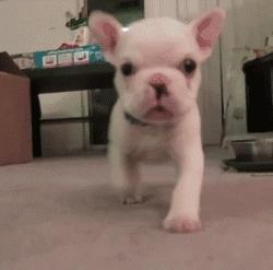 一个大写的字母,一个大写的字