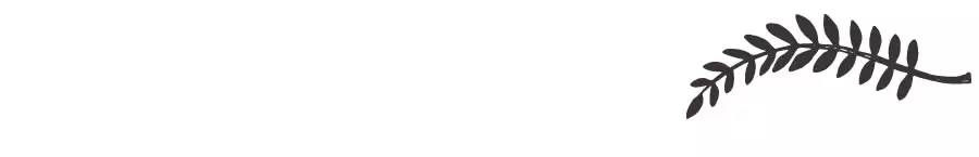 奇亚籽的食用方法,奇亚籽能量