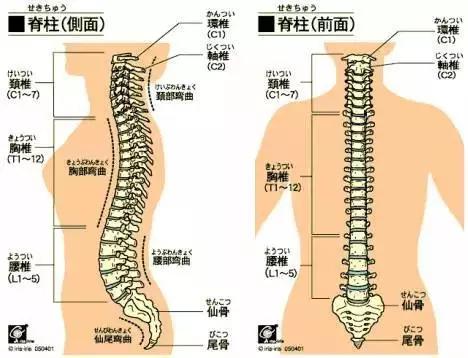 颈椎病的预防和治疗,脊椎病怎样有效预防和治疗