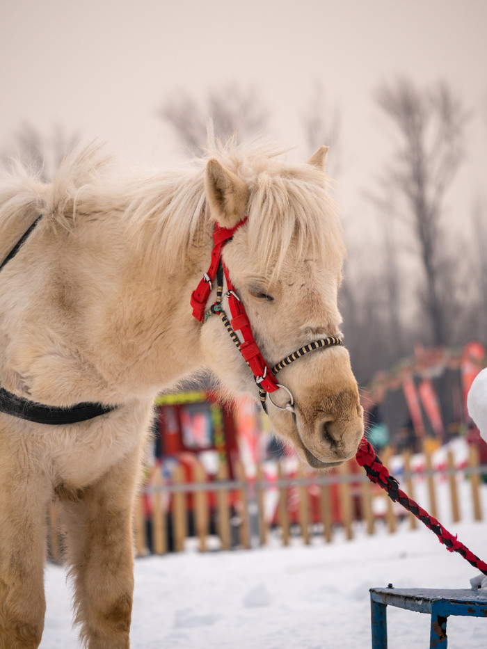 松下lumixg95d评测,松下lumixg9多少钱