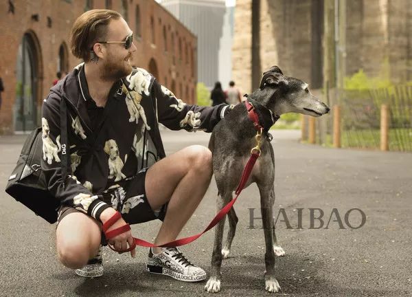 毕竟爱狗｜哈哈哈哈哈哈……听说你们要买狗年单品？我就真的不拦了！