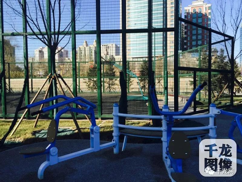 未来五年园林绿化前景,未来5年绿化公园