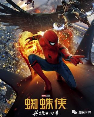 旅行青蛙和熊猫旅行,旅行青蛙大熊猫