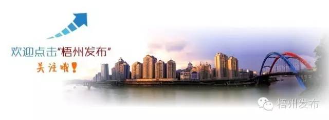 最精彩狮王争霸赛,狮王争霸赛精彩视频