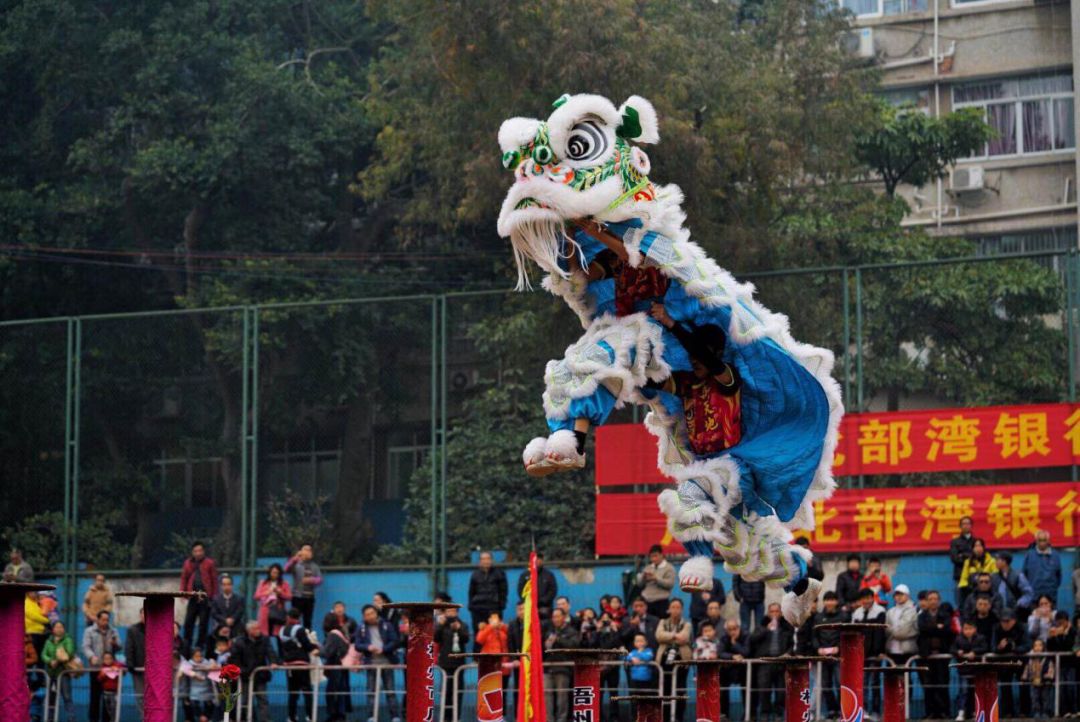 最精彩狮王争霸赛,狮王争霸赛精彩视频