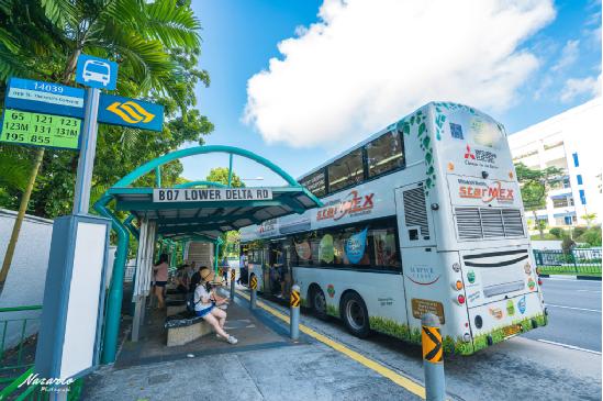 新加坡东海岸附近旅游攻略,新加坡购物攻略及必买清单