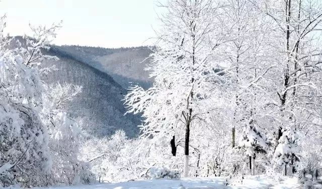 延边十八怪,延吉八大怪