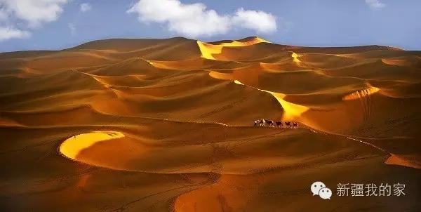 面积是全国最大县，农民收入直逼上海，说的就是*疆新**这个县