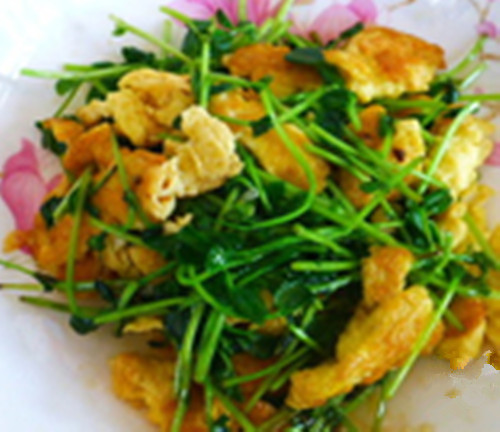 豌豆苗哪里人最喜欢吃,是豌豆苗好吃还是野豌豆苗好吃