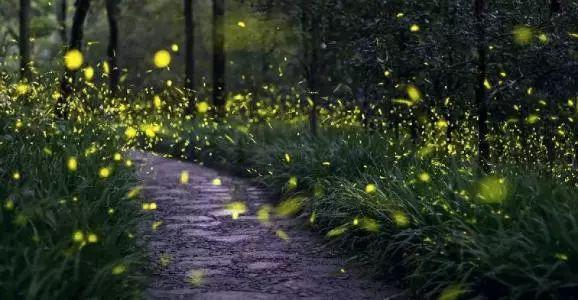 鑫控集团“雨林探秘”求真冬令营今日正式起航