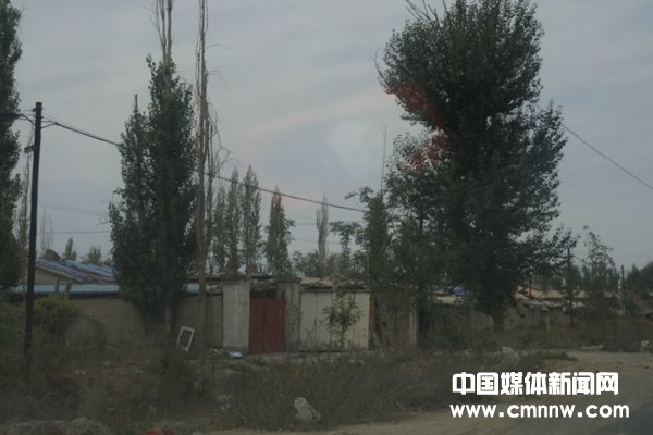 秋色中的*疆新**——故乡高泉（三）