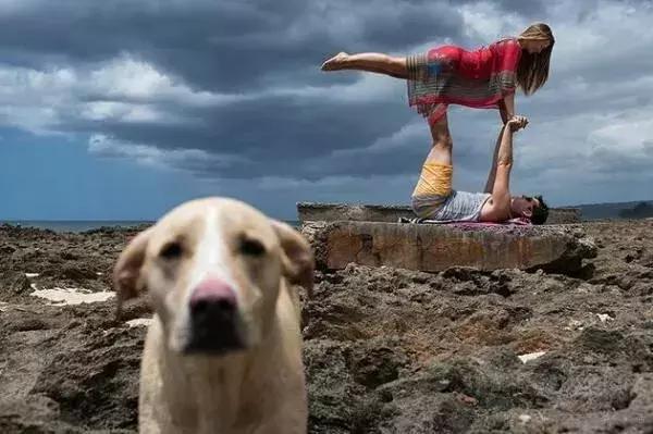 我很后悔结婚不想生孩子怎么办,不要结婚不生孩子老了怎么办