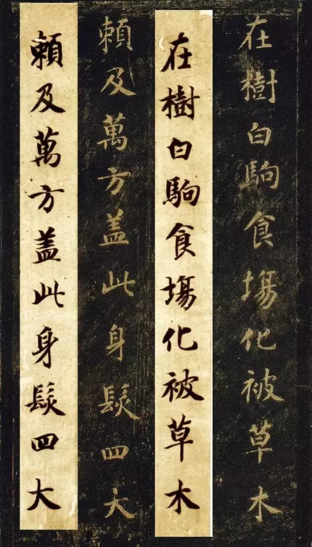 启功书法常用字字帖大全,启功书法100个常用字帖