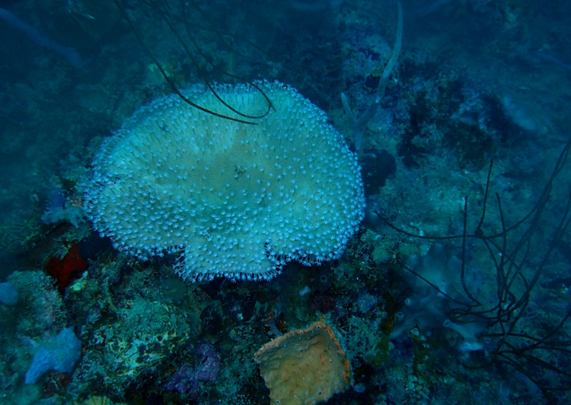 菲律宾科隆群岛游,菲律宾巴拉望科隆群岛自由行