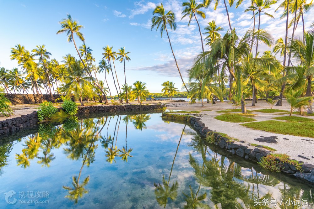 明星的婚礼都在哪里举行,明星中最浪漫的婚礼
