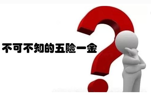 关于五险一金的最新政策解读,五险一金参考哪些政策规定