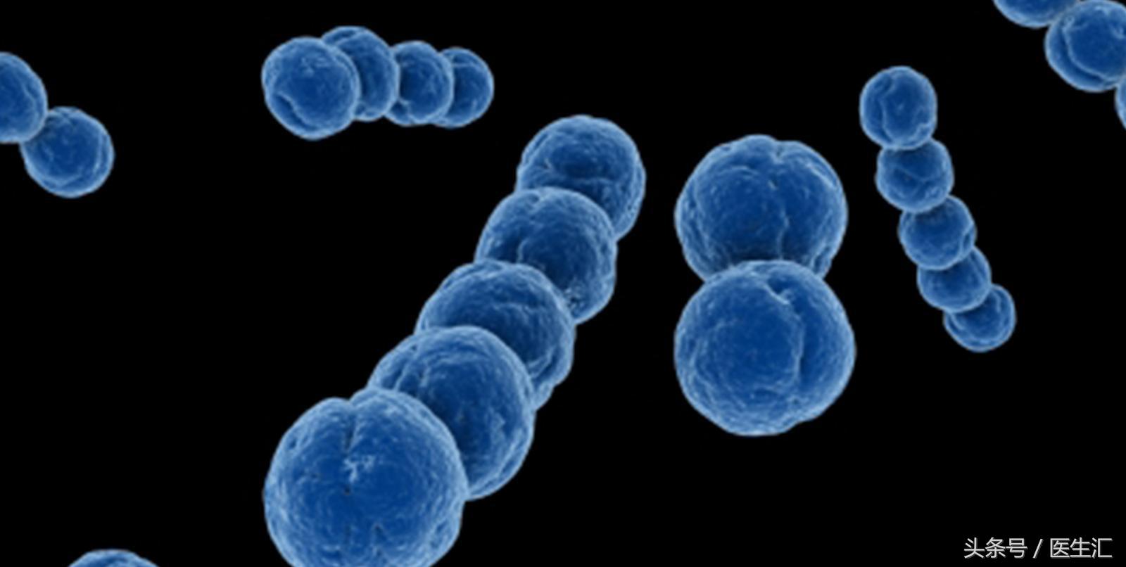 b族链球菌孕妇能顺产吗,无乳链球菌b群阳性孕妇