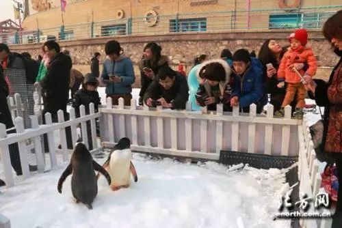 游玩攻略赶紧收藏,怎么收藏自己旅游过的地方