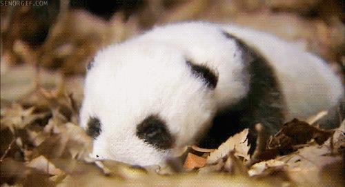 怎样拯救熬夜脸学生,熬夜脸是什么样的