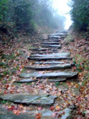 湖北监利县人口,湖北省监利人口